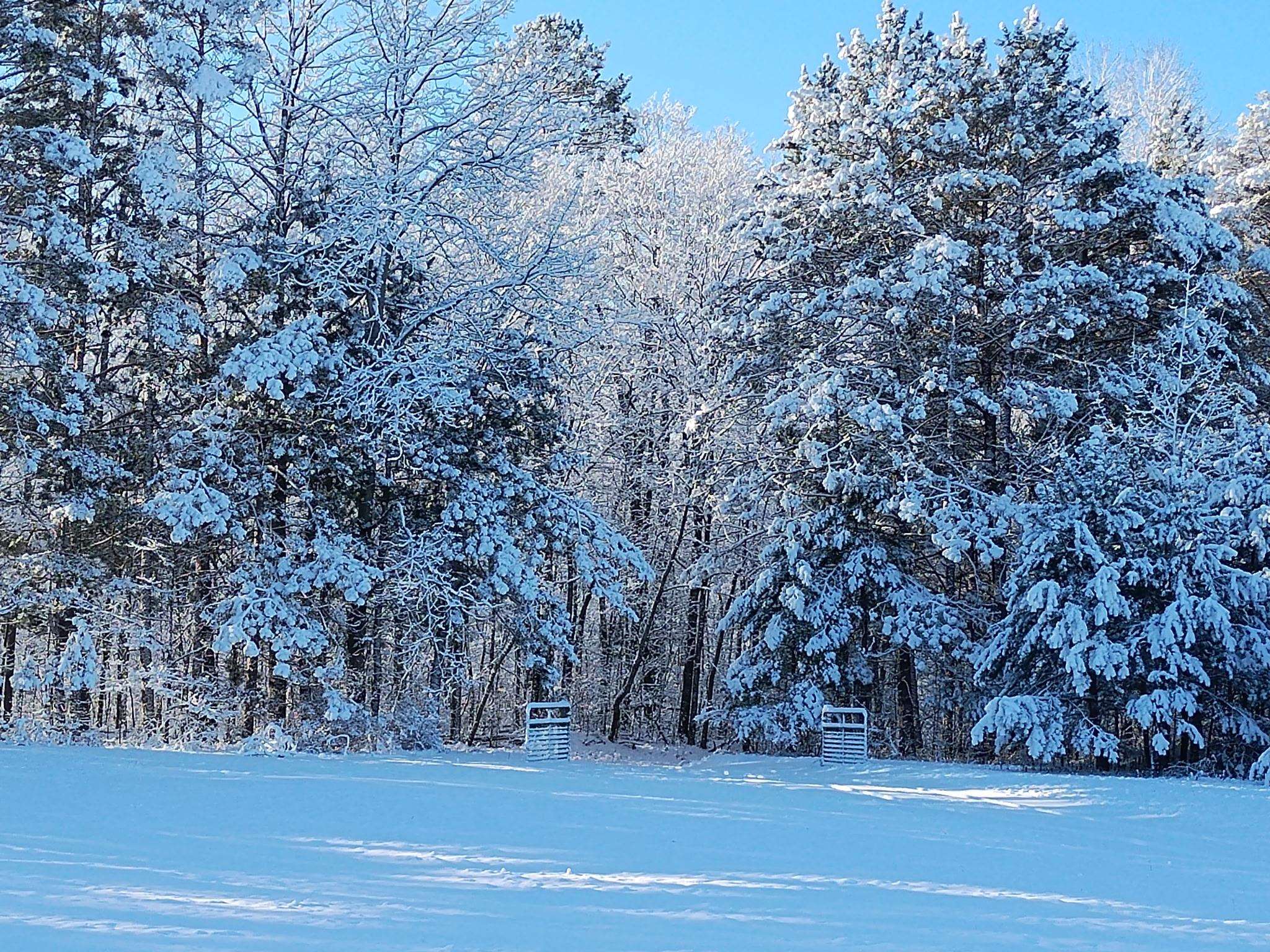 4450 Adams Road Lake, MI 48632 - Photo 64 of 67 Gallery Image 64