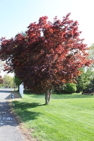 50 Vose Street Framingham, MA 01702 - Photo 7 of 20 Gallery Image 7