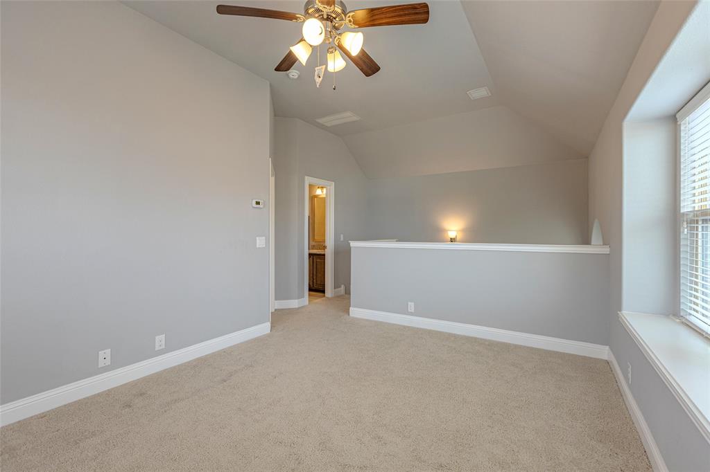 4517 Springhurst Drive Plano, TX 75074 - Photo 20 of 27