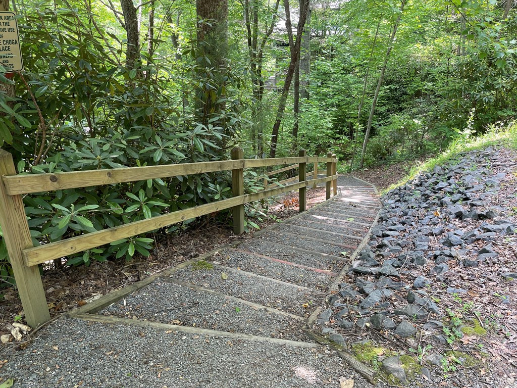 0 Old Lodge Road Topton, NC 28781 - Photo 10 of 14