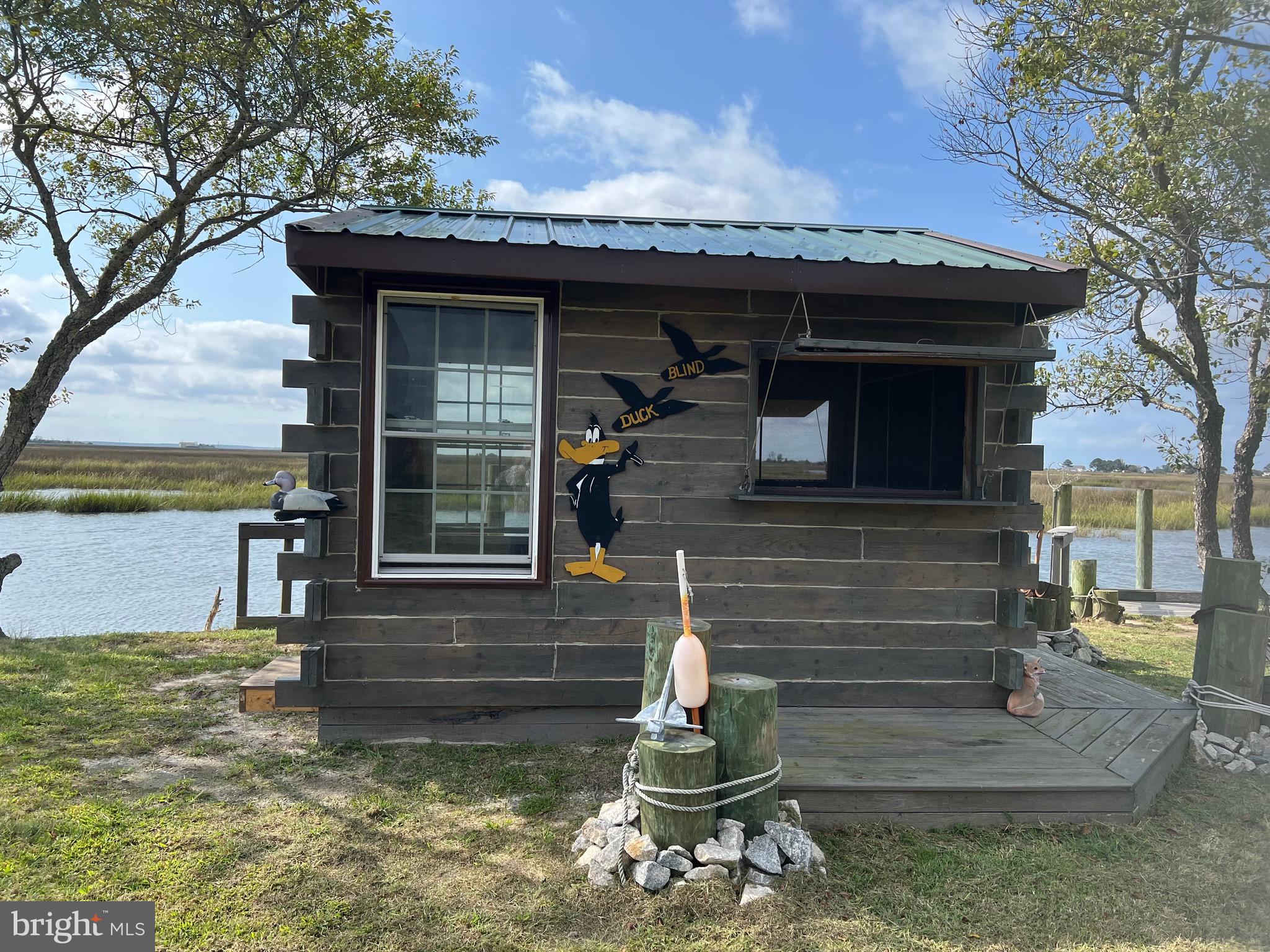 DAFFY DUCK BLIND