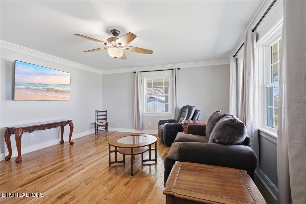 213 Lou Goddard Lane Greenback, TN 37742 - Photo 6 of 34 a living room with furniture and a window