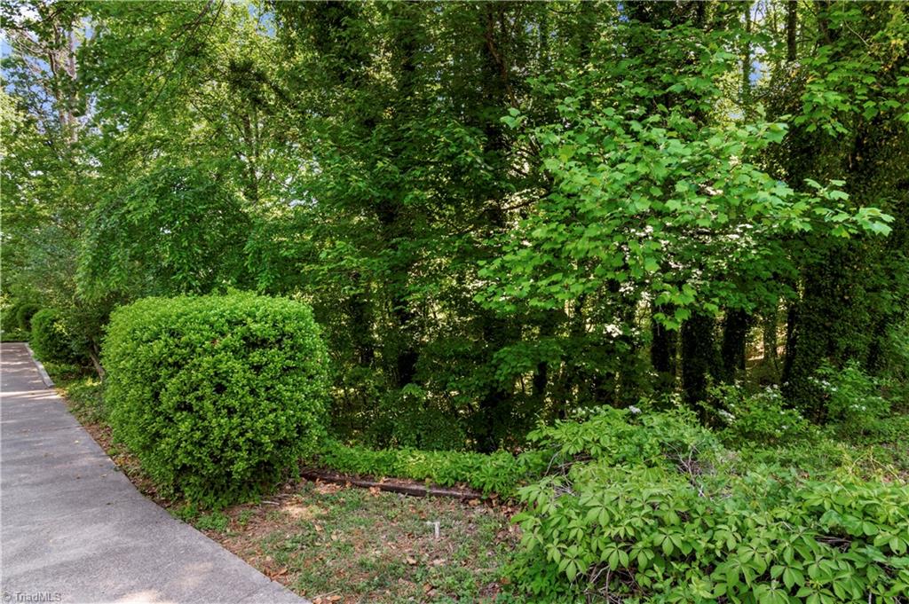 2595 Mt Salem Road Pfafftown, NC 27040 - Photo 28 of 29