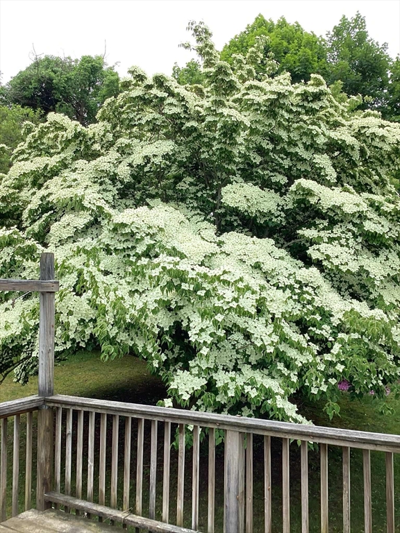 168 Old Plymouth Road Bourne, MA 02562 - Photo 32 of 36