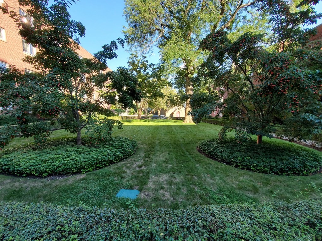 30 St Paul Street, Unit 3 Brookline, MA 02446 - Photo 22 of 22