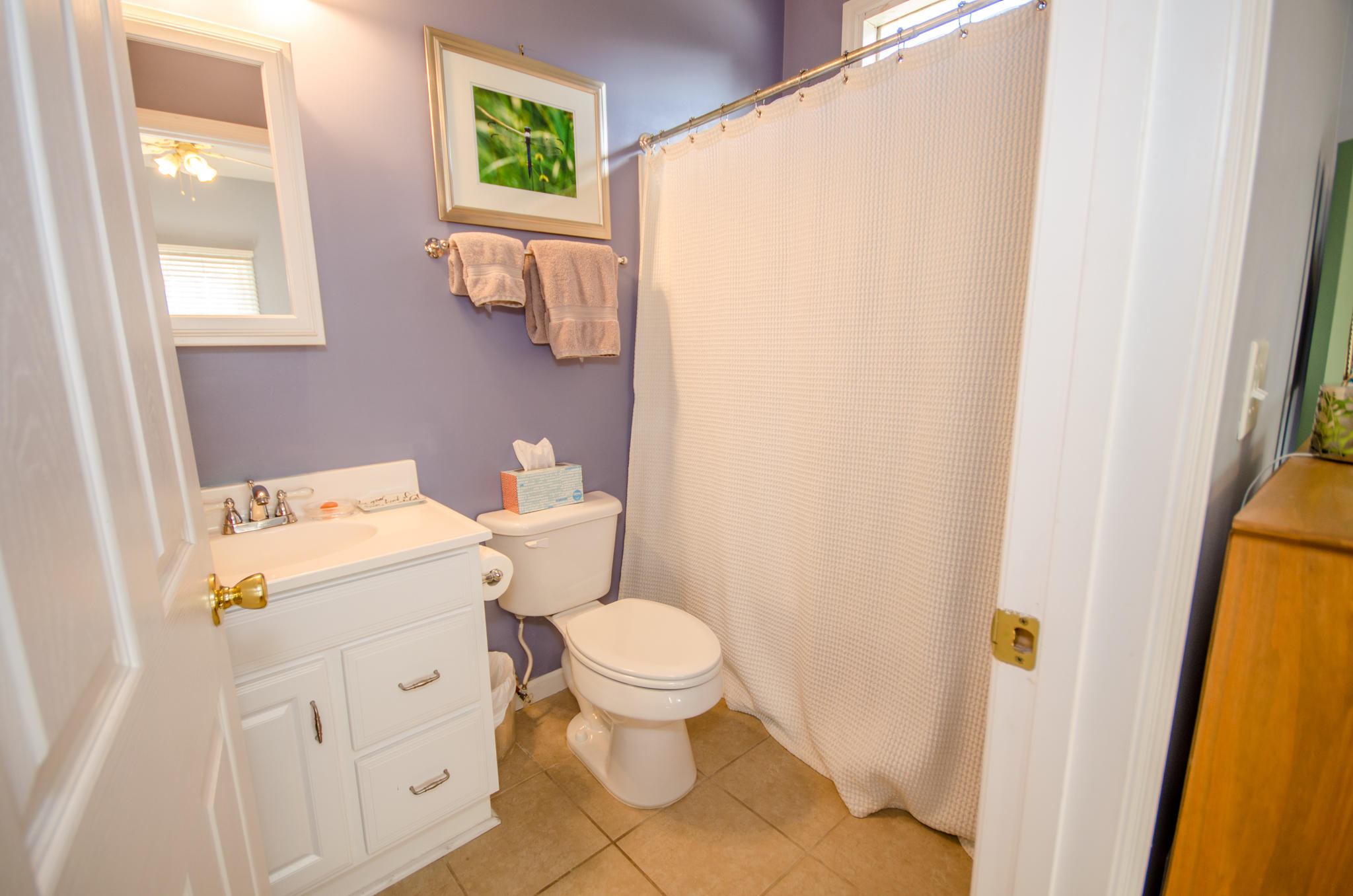 1184 Dills Bluff Road Charleston, SC 29412 - Photo 14 of 22 1184 Dills Bluff-14