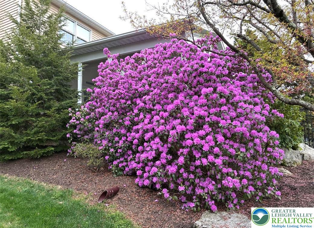4059 Old Sentry Road Allentown, PA 18104 - Photo 33 of 39 Vibrant purple blossoms envelop the entrance, creating a welcoming curb appeal.