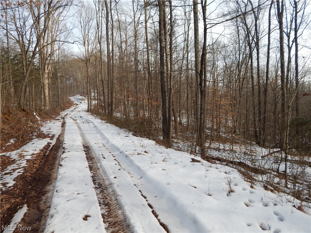Fingerboard Road Big Springs, WV 26137 - Photo 7 of 21