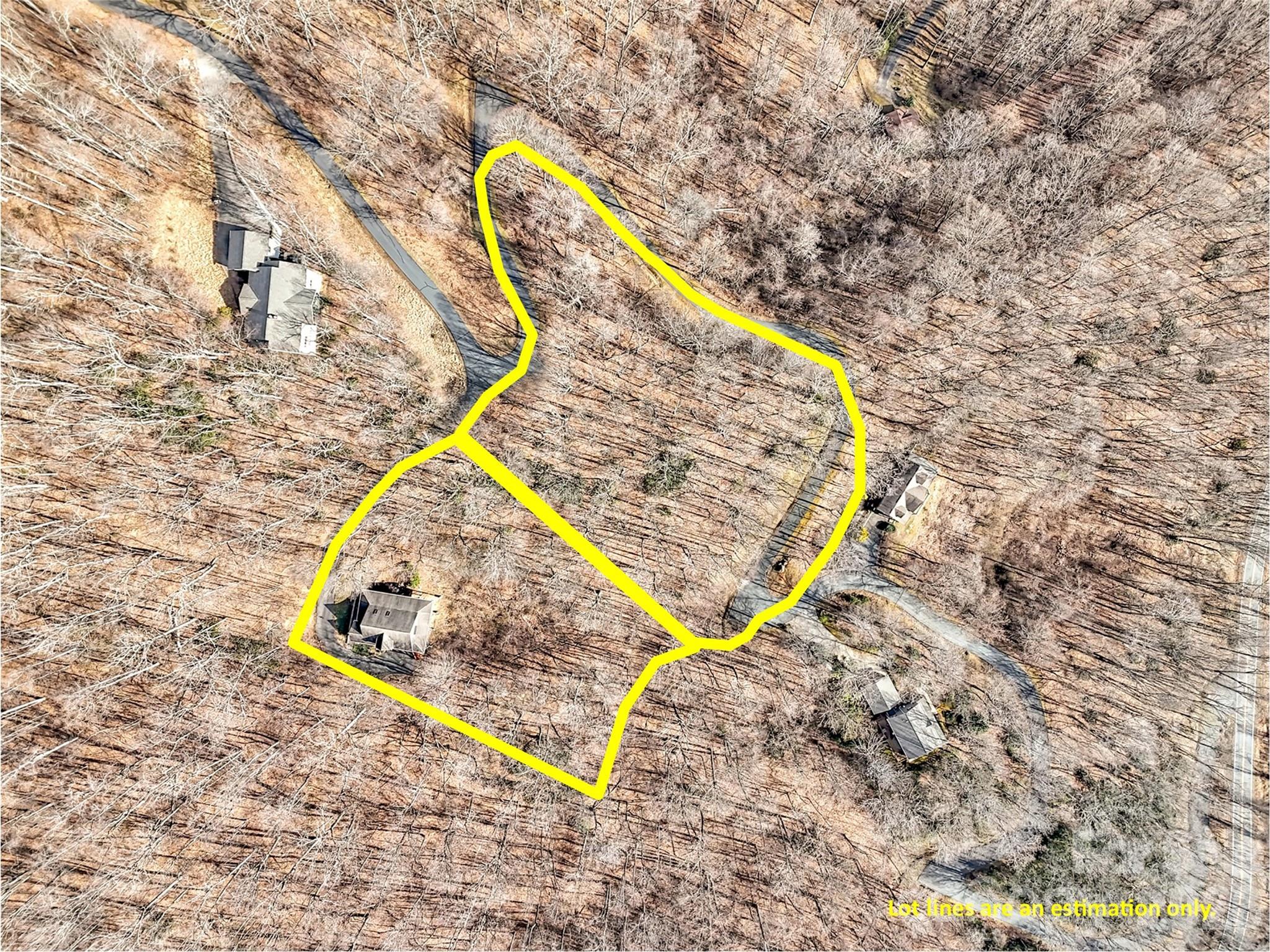 371 Falcon Ridge Drive Waynesville, NC 28786 - Photo 3 of 48