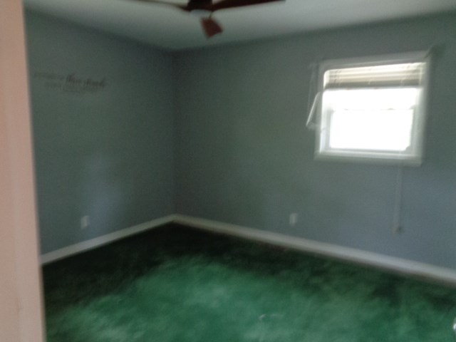 809 Dexter Street Dothan, AL 36301 - Photo 53 of 64