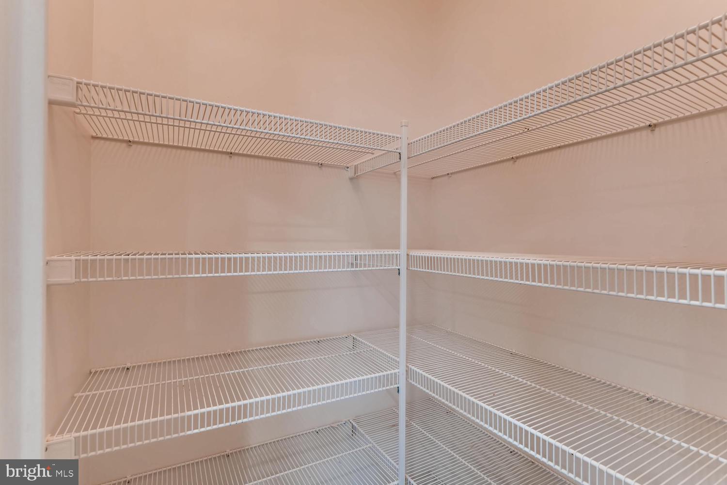 804 Ryan Street Baltimore, MD 21230 - Photo 17 of 28 Shelving in pantry
