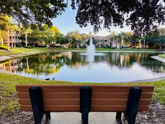 a view of a park with large trees