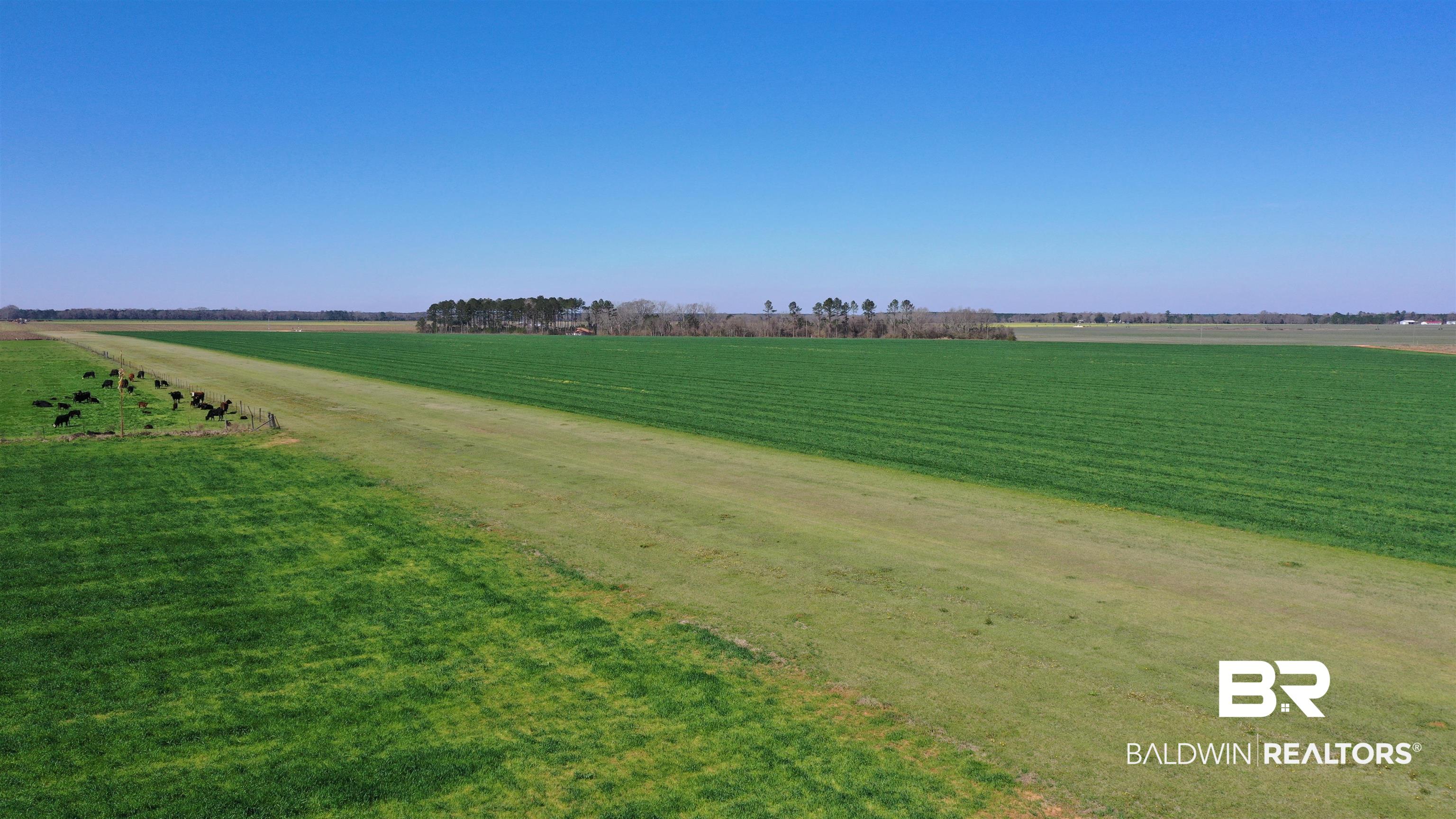 Lot 7 Mack Pond Road Atmore, AL 36502 - Photo 5 of 17