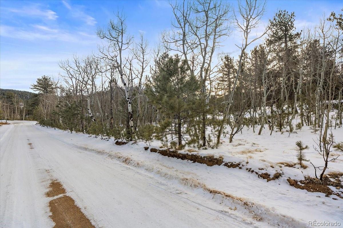 22 Hupp Road Bailey, CO 80421 - Photo 1 of 9