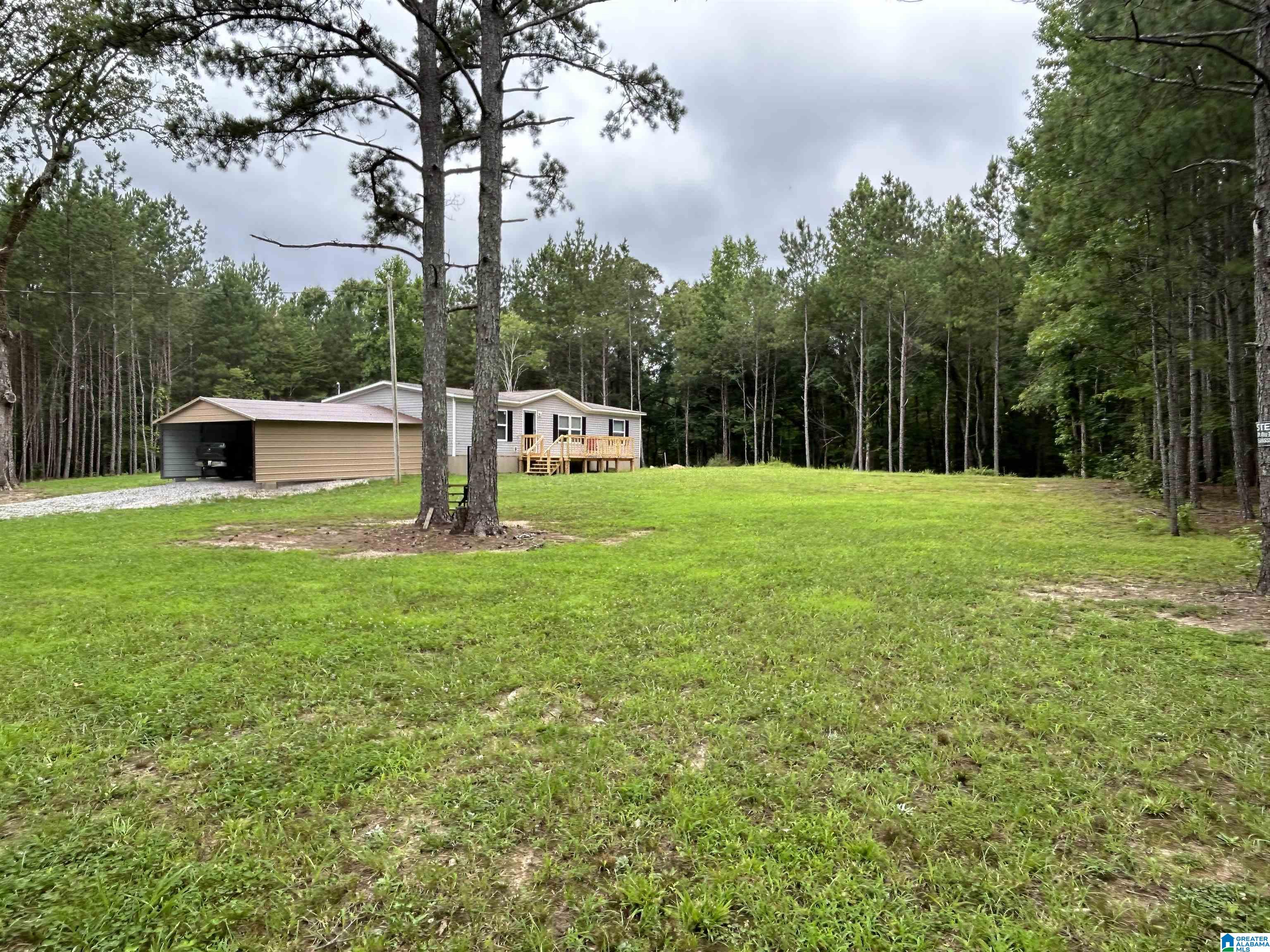 3553 New Liberty Road Wellington, AL 36279 - Photo 4 of 13