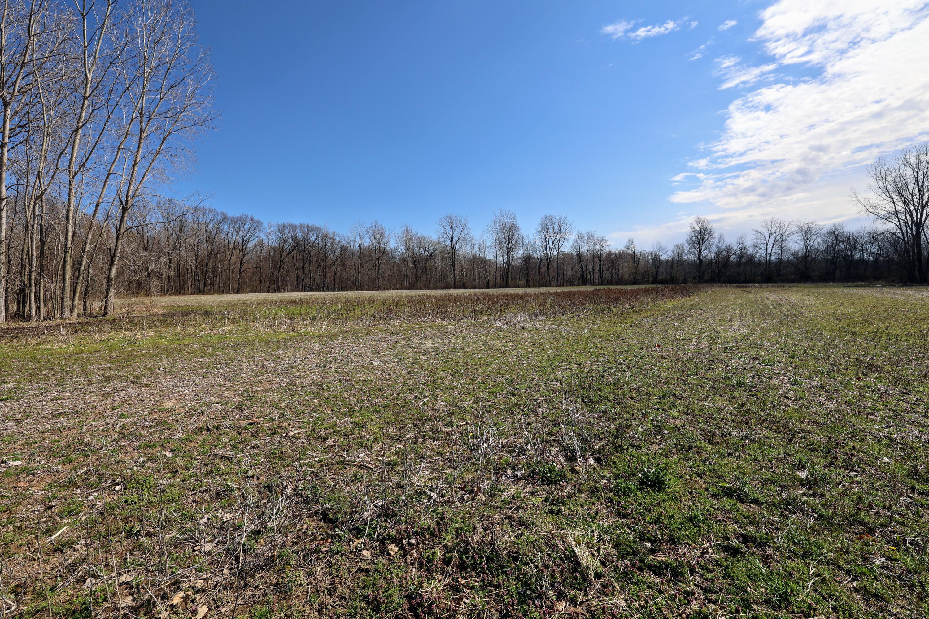 352 Decatur Mi 49045 Decatur, MI 49045 - Photo 24 of 44 25