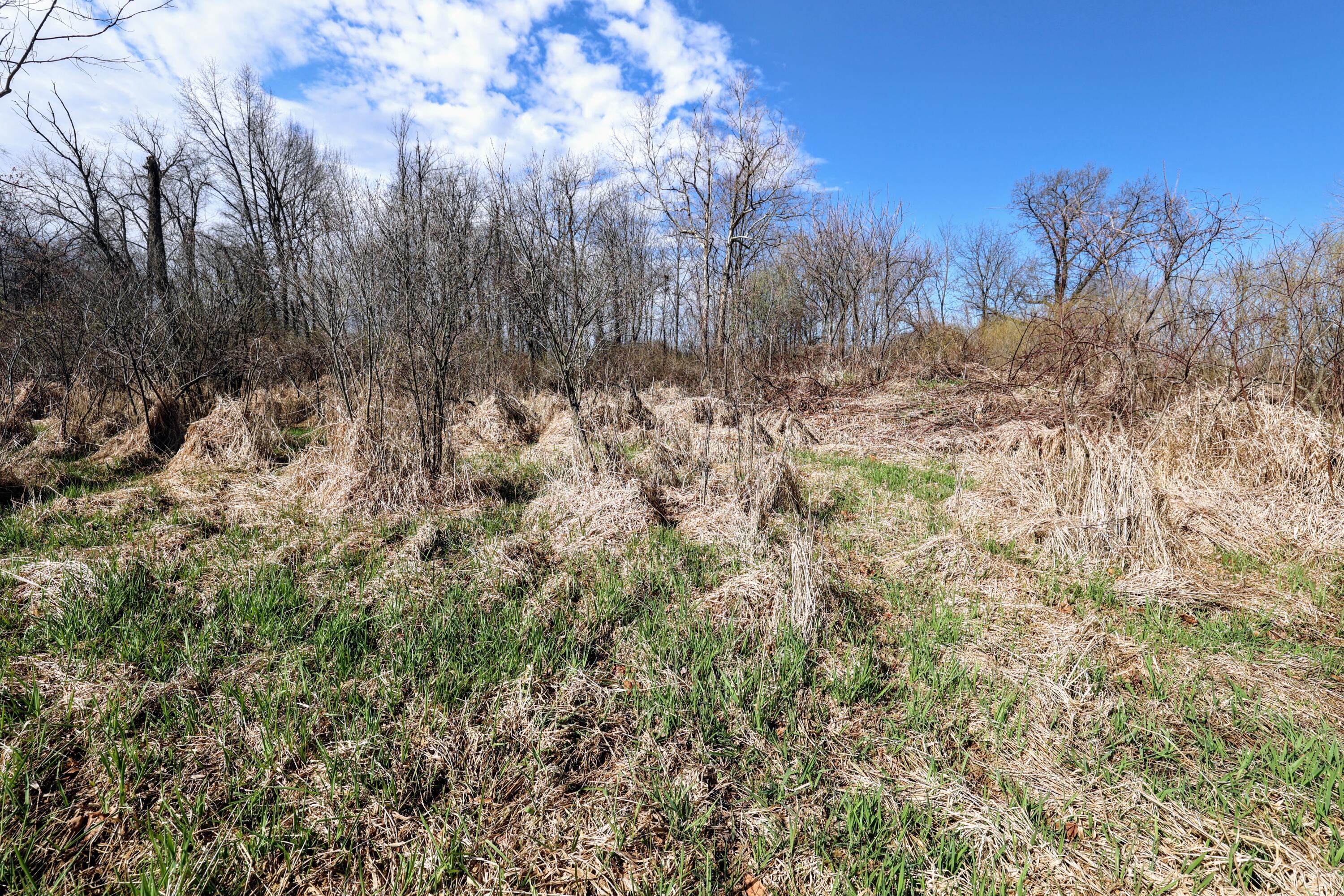 352 Decatur Mi 49045 Decatur, MI 49045 - Photo 29 of 44 30