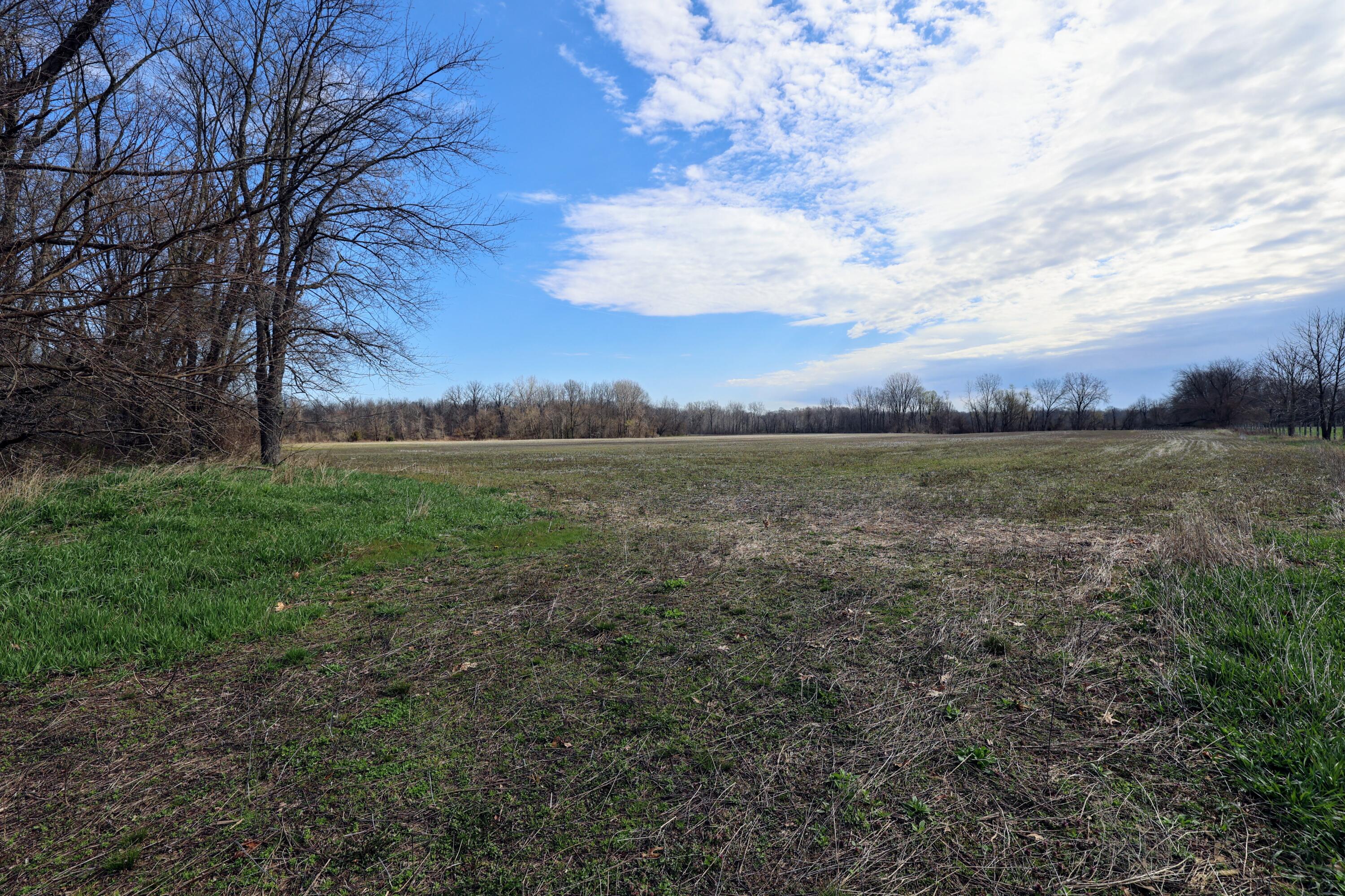 352 Decatur Mi 49045 Decatur, MI 49045 - Photo 36 of 44 37