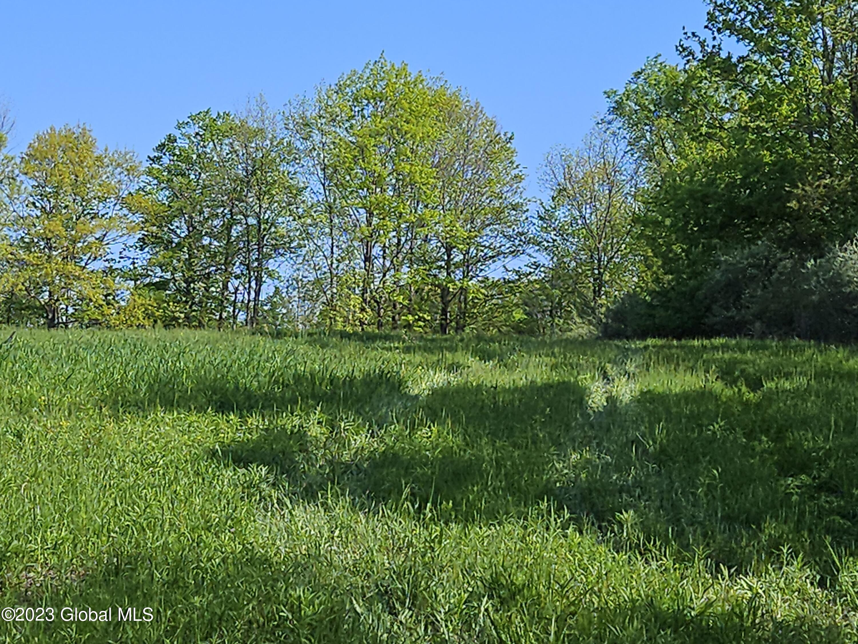 12 Deer Lane Rensselaerville, NY 12083 - Photo 20 of 26 19