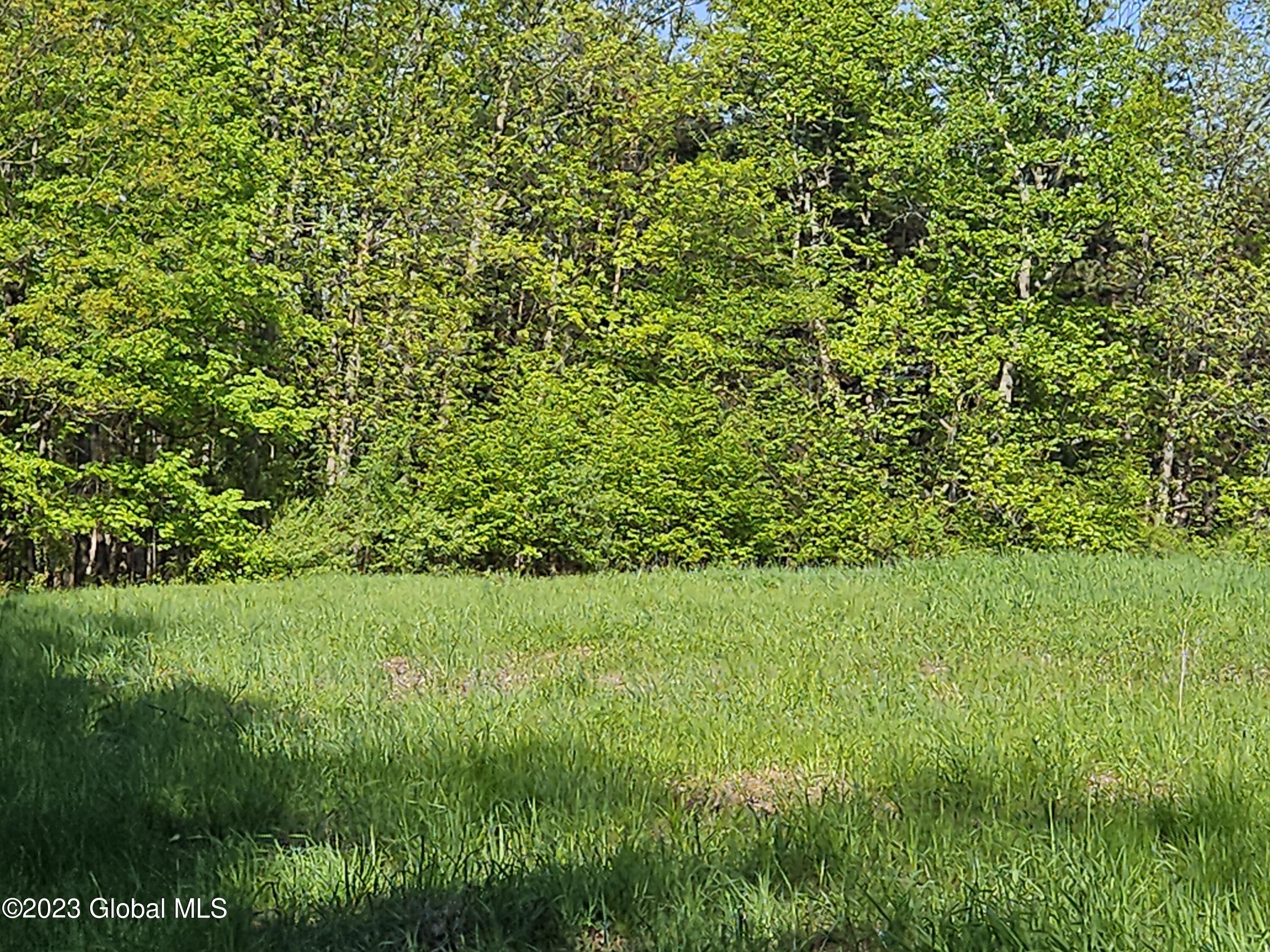 12 Deer Lane Rensselaerville, NY 12083 - Photo 21 of 26 20