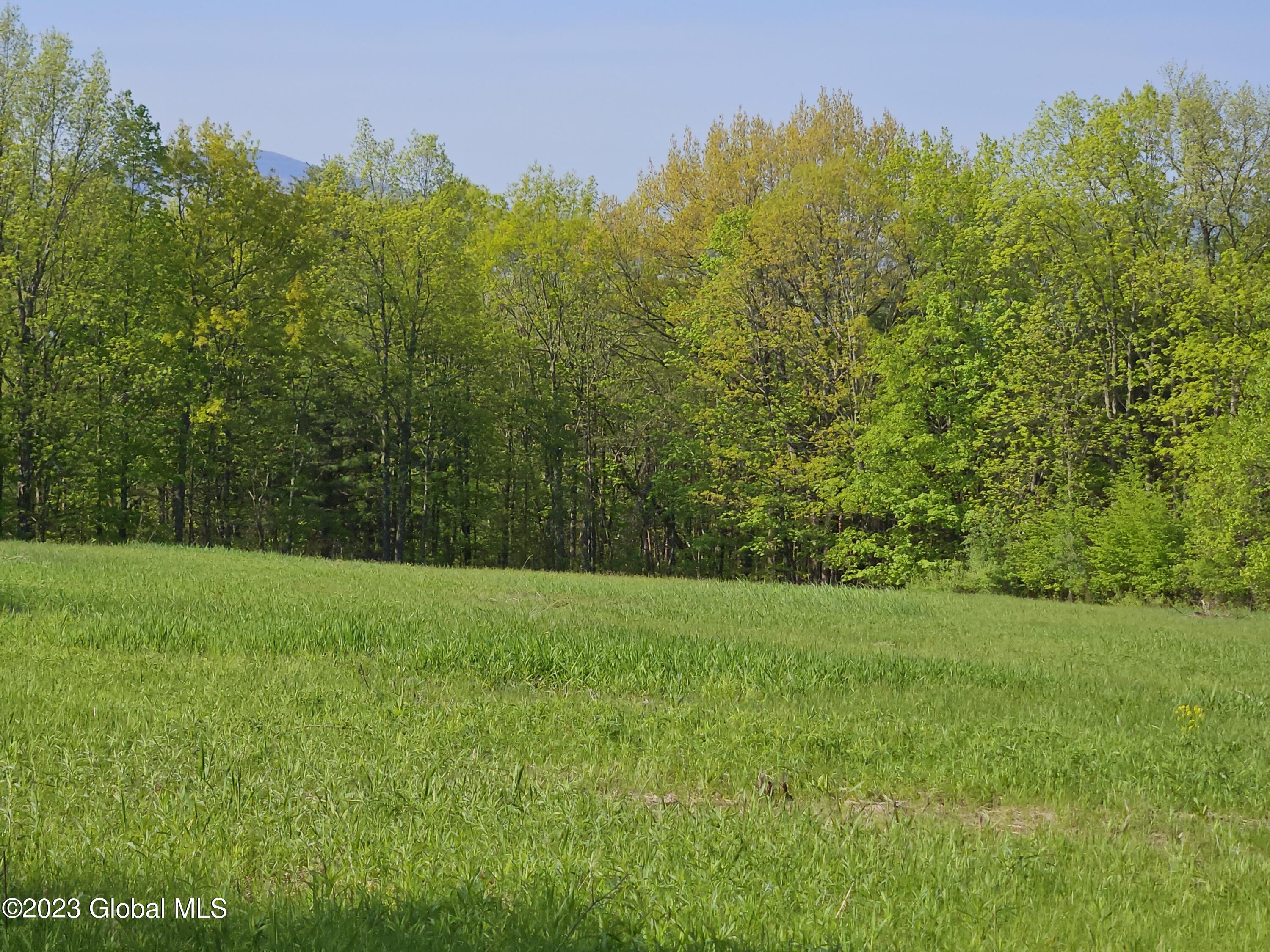12 Deer Lane Rensselaerville, NY 12083 - Photo 22 of 26 21