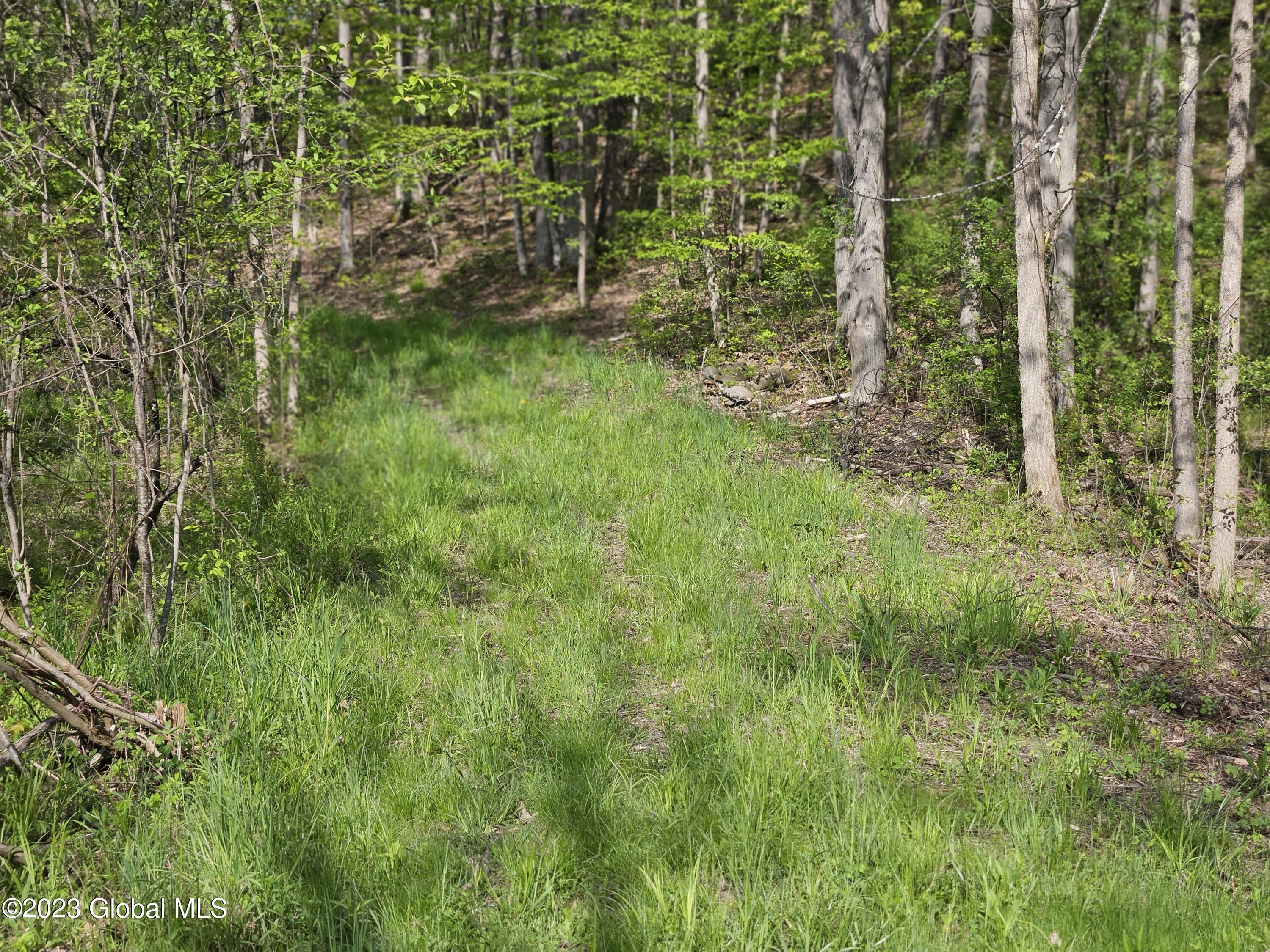 12 Deer Lane Rensselaerville, NY 12083 - Photo 23 of 26 03
