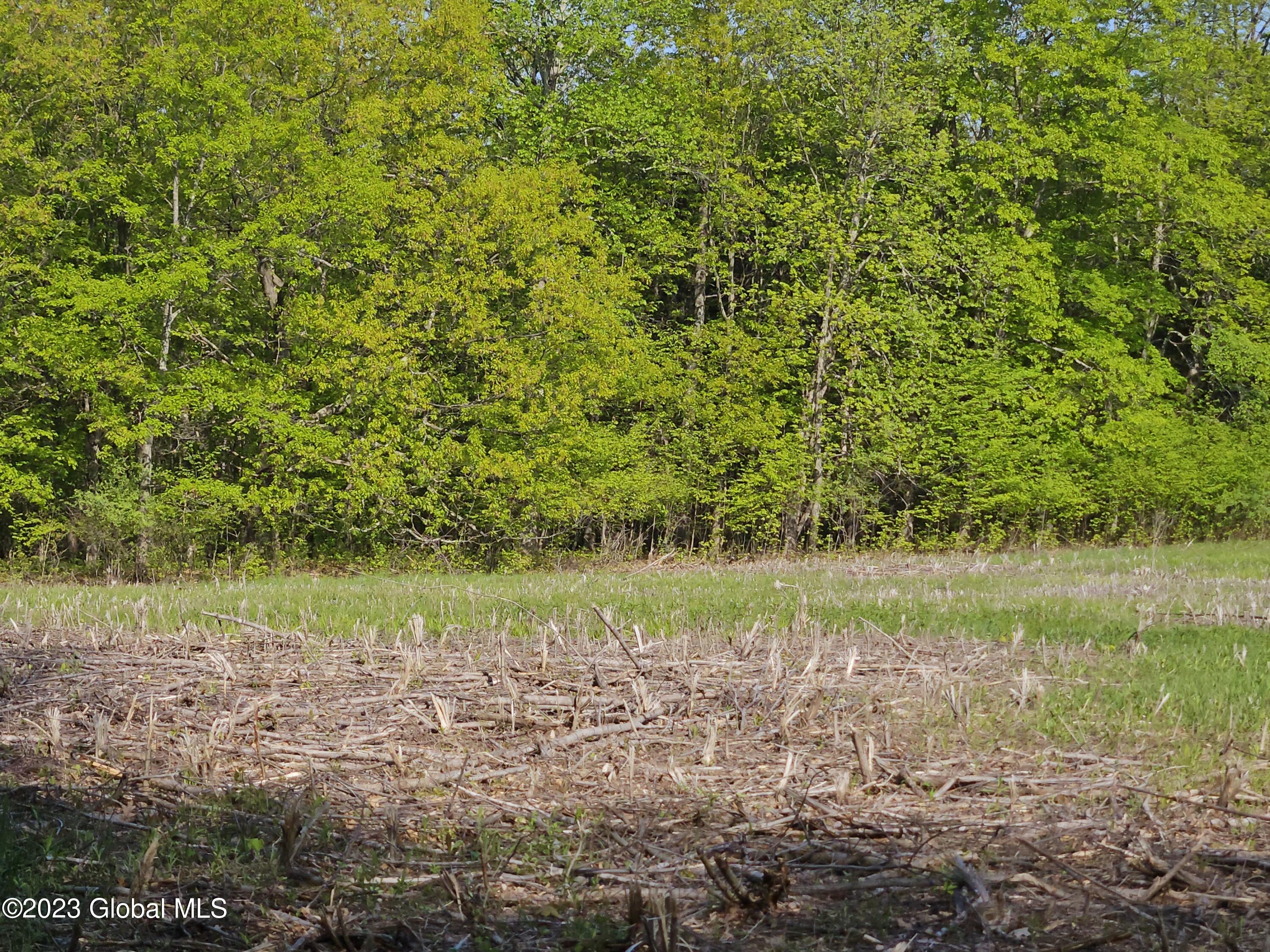 12 Deer Lane Rensselaerville, NY 12083 - Photo 25 of 26 23