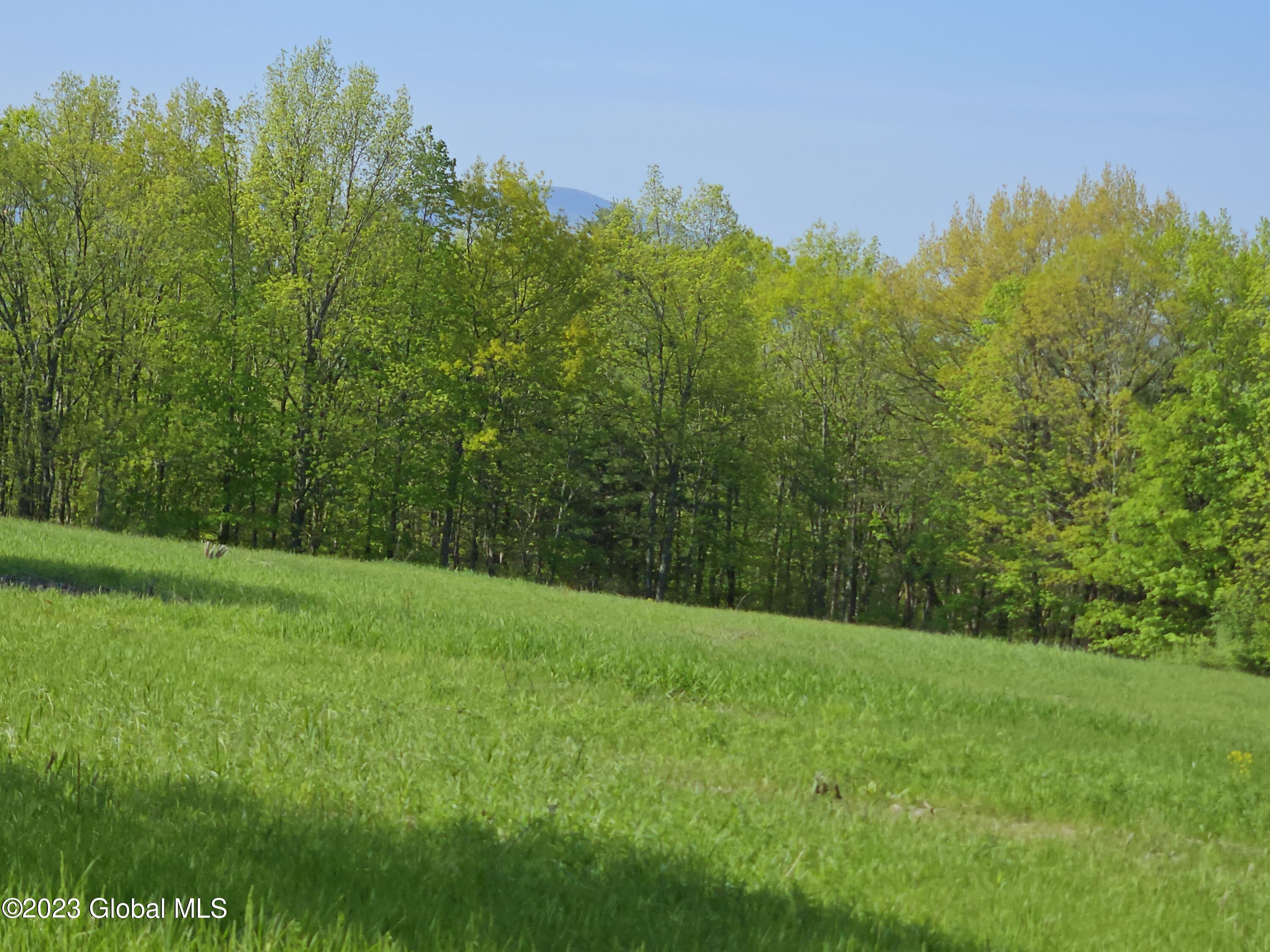 12 Deer Lane Rensselaerville, NY 12083 - Photo 8 of 26 02