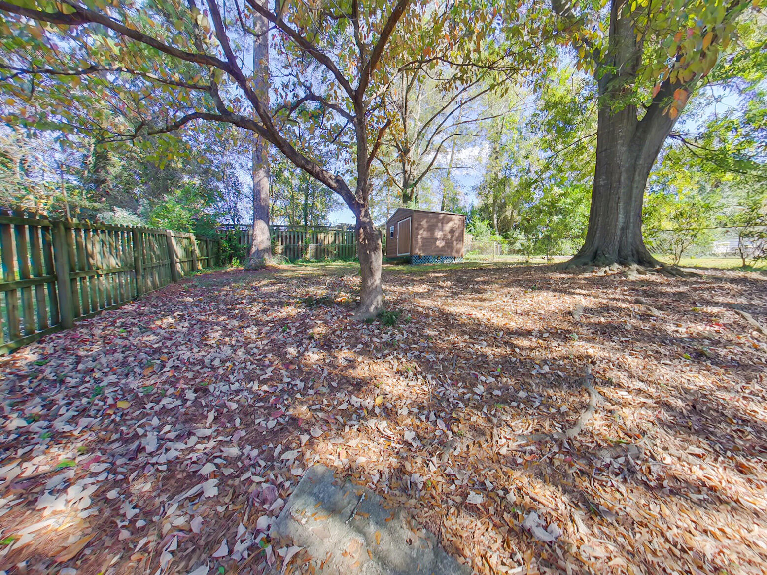 2707 Bolling Road Augusta, GA 30909 - Photo 2 of 16 2-Backyard (7)