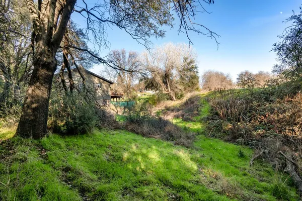 a view of yard with green space