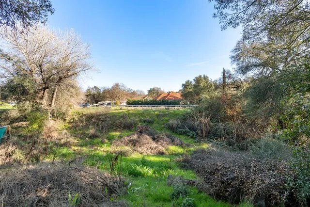 a view of a lush green forest with lots of trees