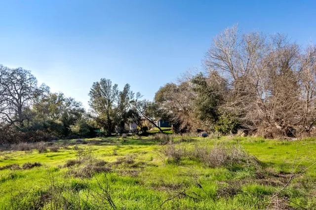 a view of green field with trees in the background