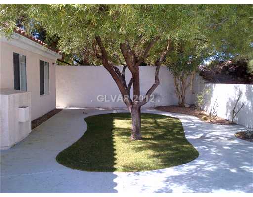 215 Chestnut Ridge Court Henderson, NV 89012 - Photo 18 of 21 Yard/Garden.