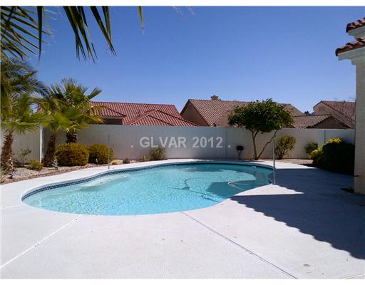 215 Chestnut Ridge Court Henderson, NV 89012 - Photo 19 of 21 Swimming Pool/Hot Tub/Sauna.