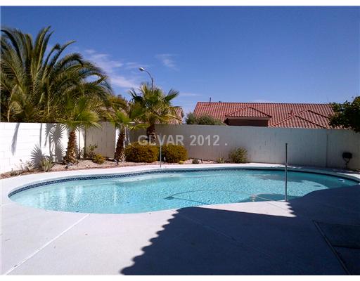 215 Chestnut Ridge Court Henderson, NV 89012 - Photo 20 of 21 Swimming Pool/Hot Tub/Sauna.