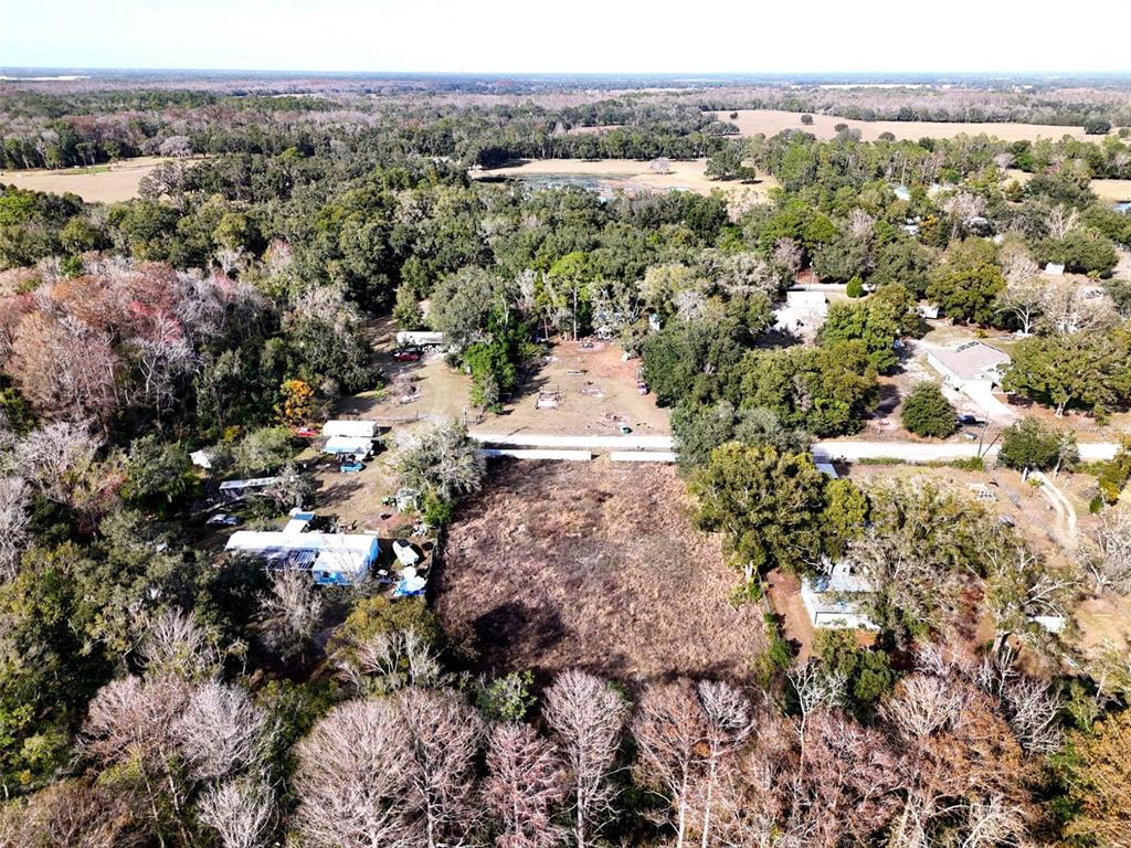 12620 McBride Road Spring Hill, FL 34610 - Photo 4 of 5