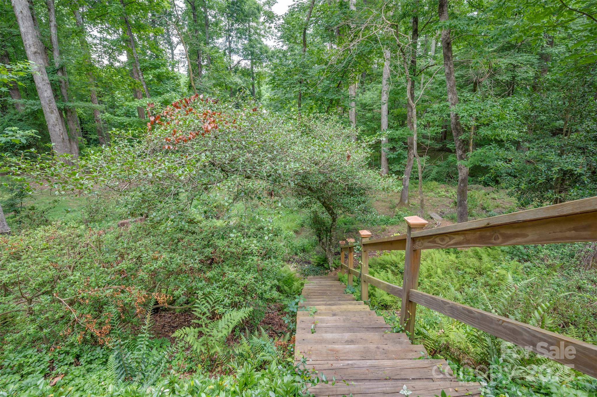 19 Hunting Country Trail Tryon, NC 28782 - Photo 36 of 46