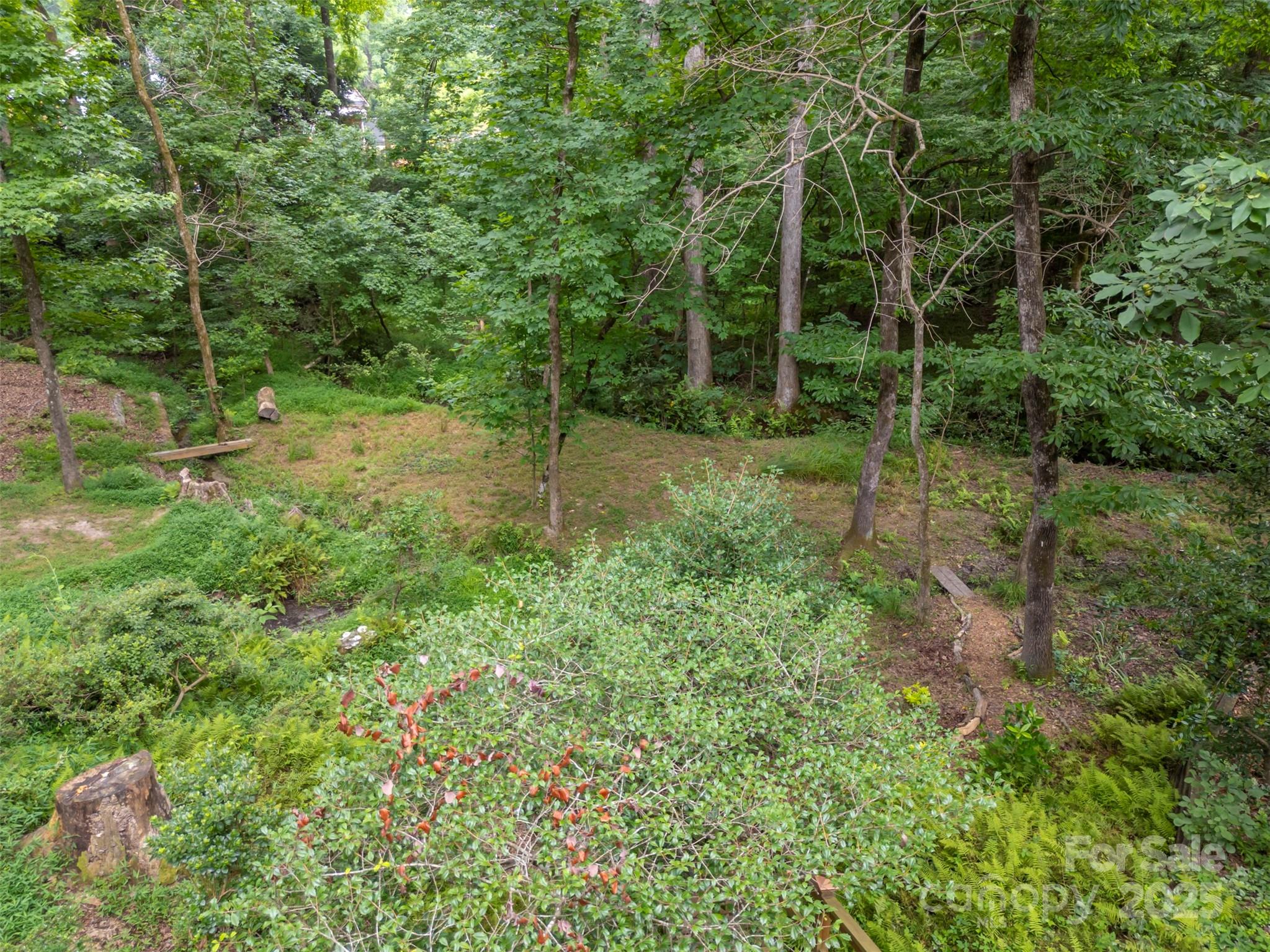 19 Hunting Country Trail Tryon, NC 28782 - Photo 42 of 46