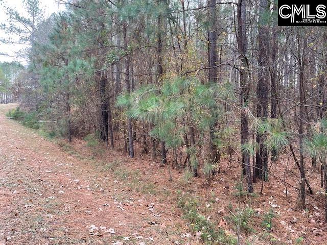 Lot 104 Pineland Road Chappells, SC 29037 - Photo 15 of 25