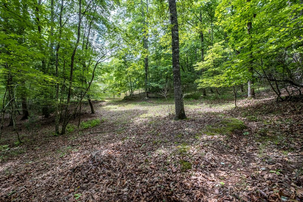 92 Blissful Ridge Murphy, NC 28906 - Photo 21 of 30