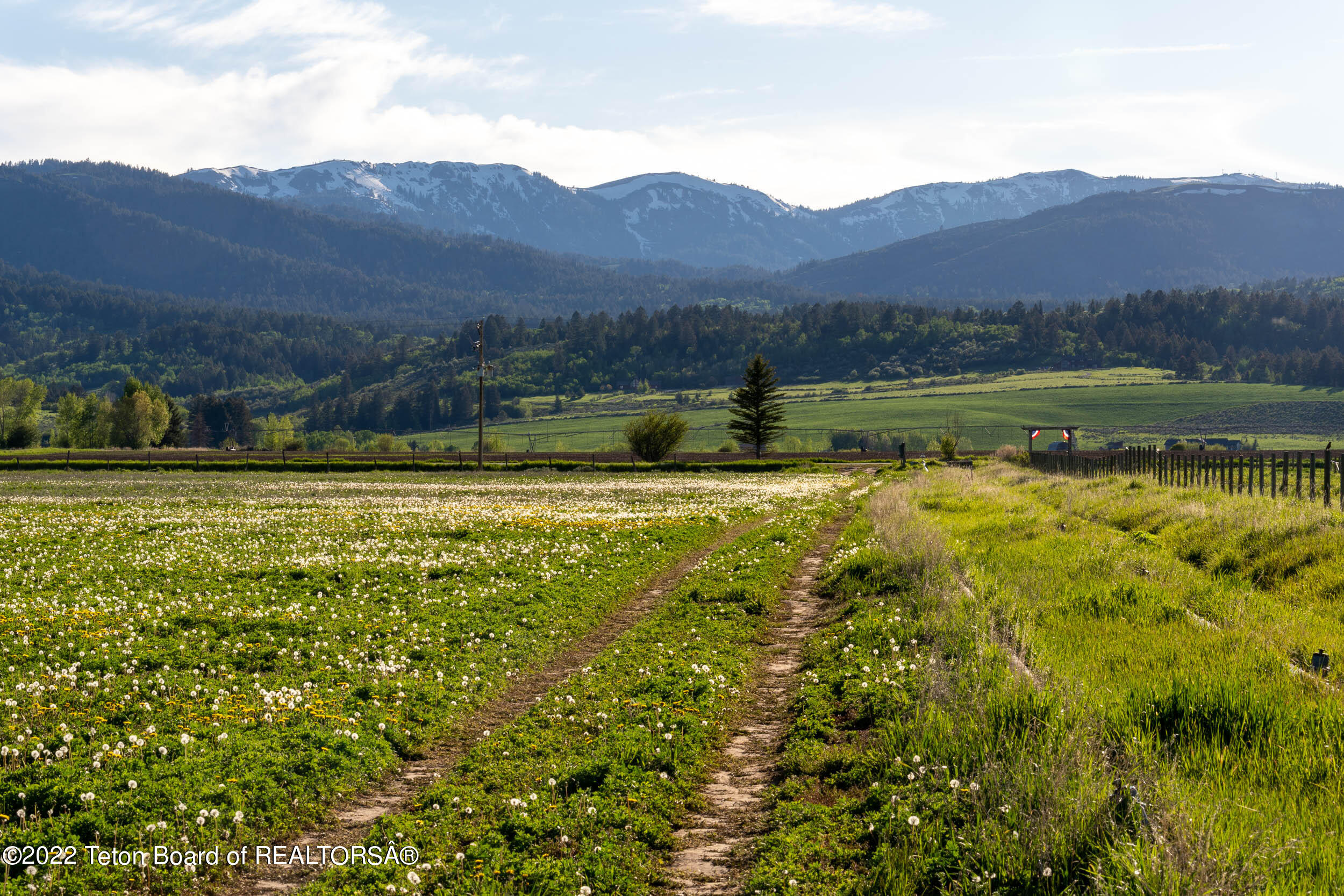 1845 South 5000 West Driggs, ID 83422 - Photo 32 of 41 20220607-1850 S 5000 W-niceday-010