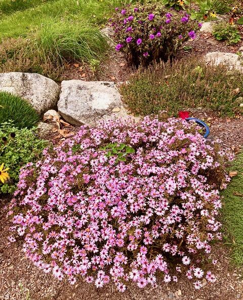 684 The Shore Road Castine, ME 04421 - Photo 33 of 36 684