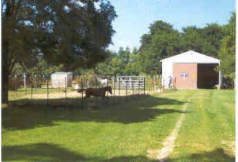 6960 West Sterling Road Litchfield, MI 49252 - Photo 4 of 12 Additional Photo