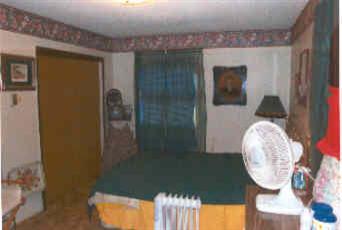 6960 West Sterling Road Litchfield, MI 49252 - Photo 9 of 12 Additional Photo