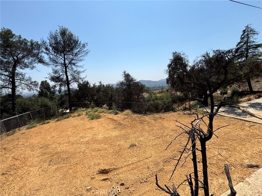 3696 Chaney Trail Altadena, CA 91001 - Photo 16 of 21 a view of a yard