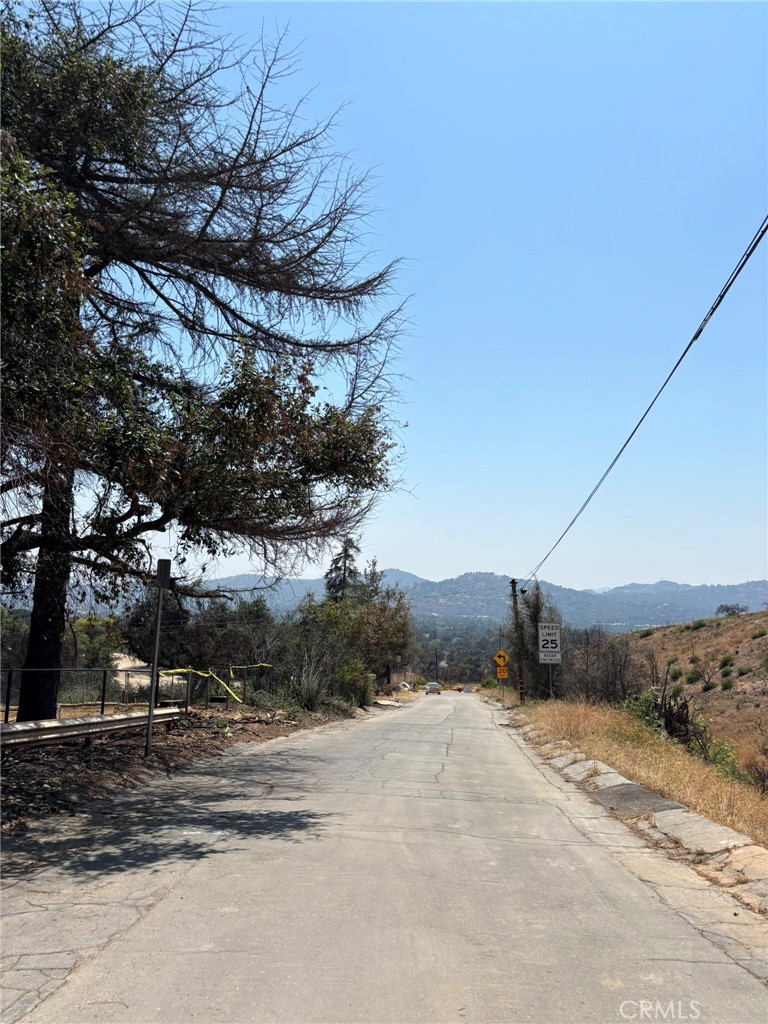 3696 Chaney Trail Altadena, CA 91001 - Photo 17 of 21 a view of a dry yard with trees