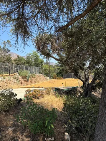 a view of a yard with plants and trees