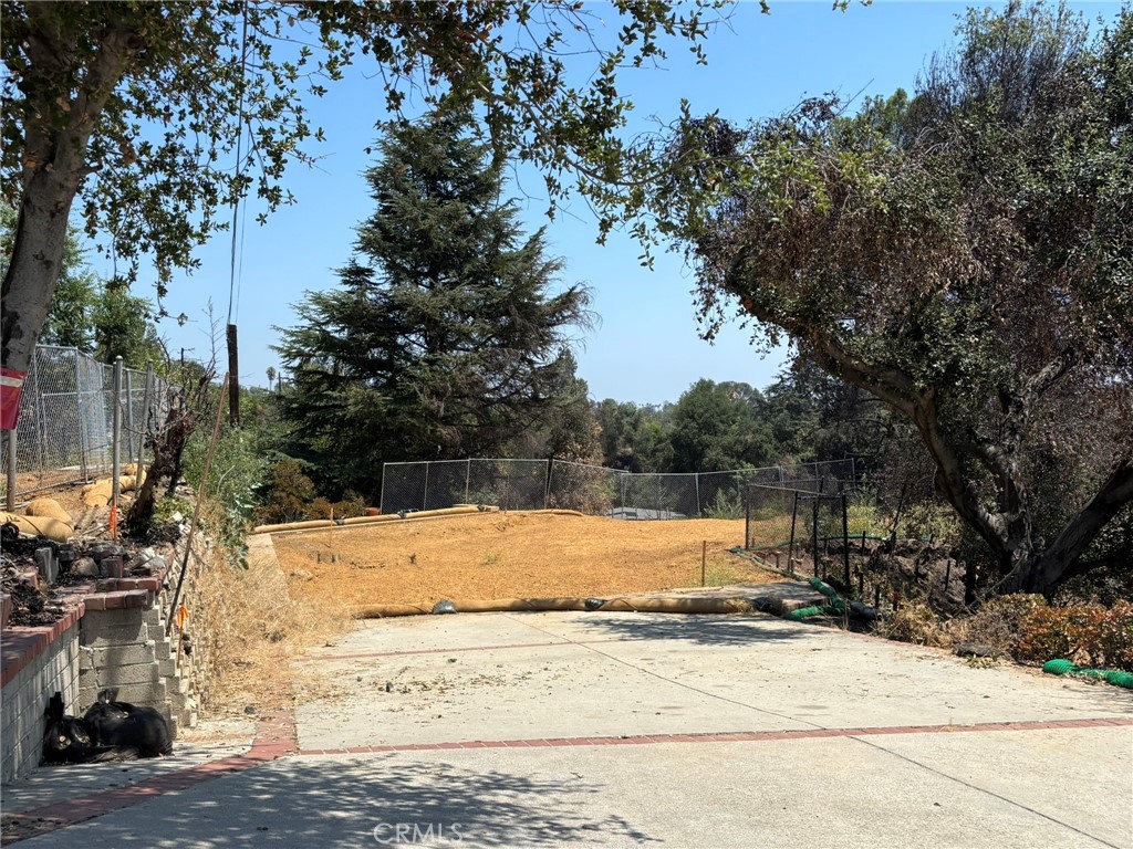 3696 Chaney Trail Altadena, CA 91001 - Photo 2 of 21 a view of a yard with large trees