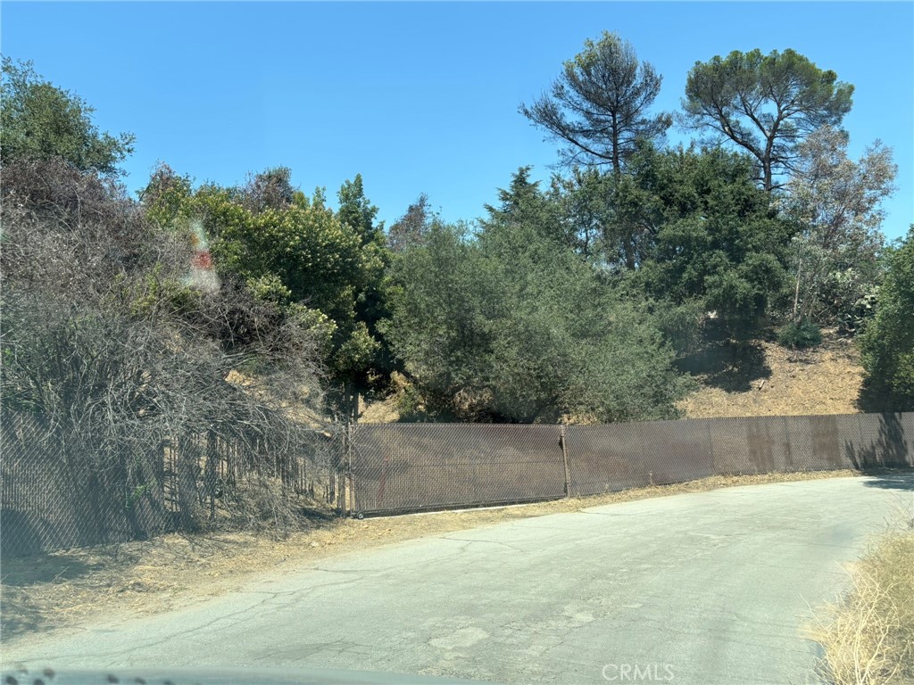 3696 Chaney Trail Altadena, CA 91001 - Photo 21 of 21 a view of a backyard