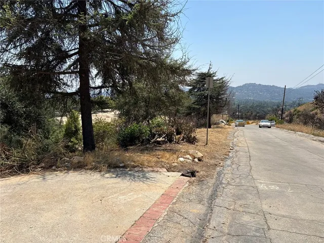 a view of a road with a tree